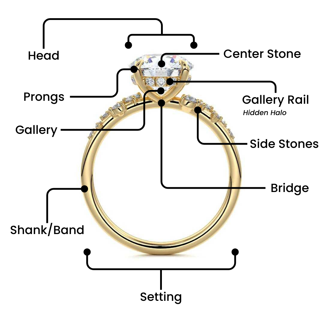 Anatomy-of-a-Ring